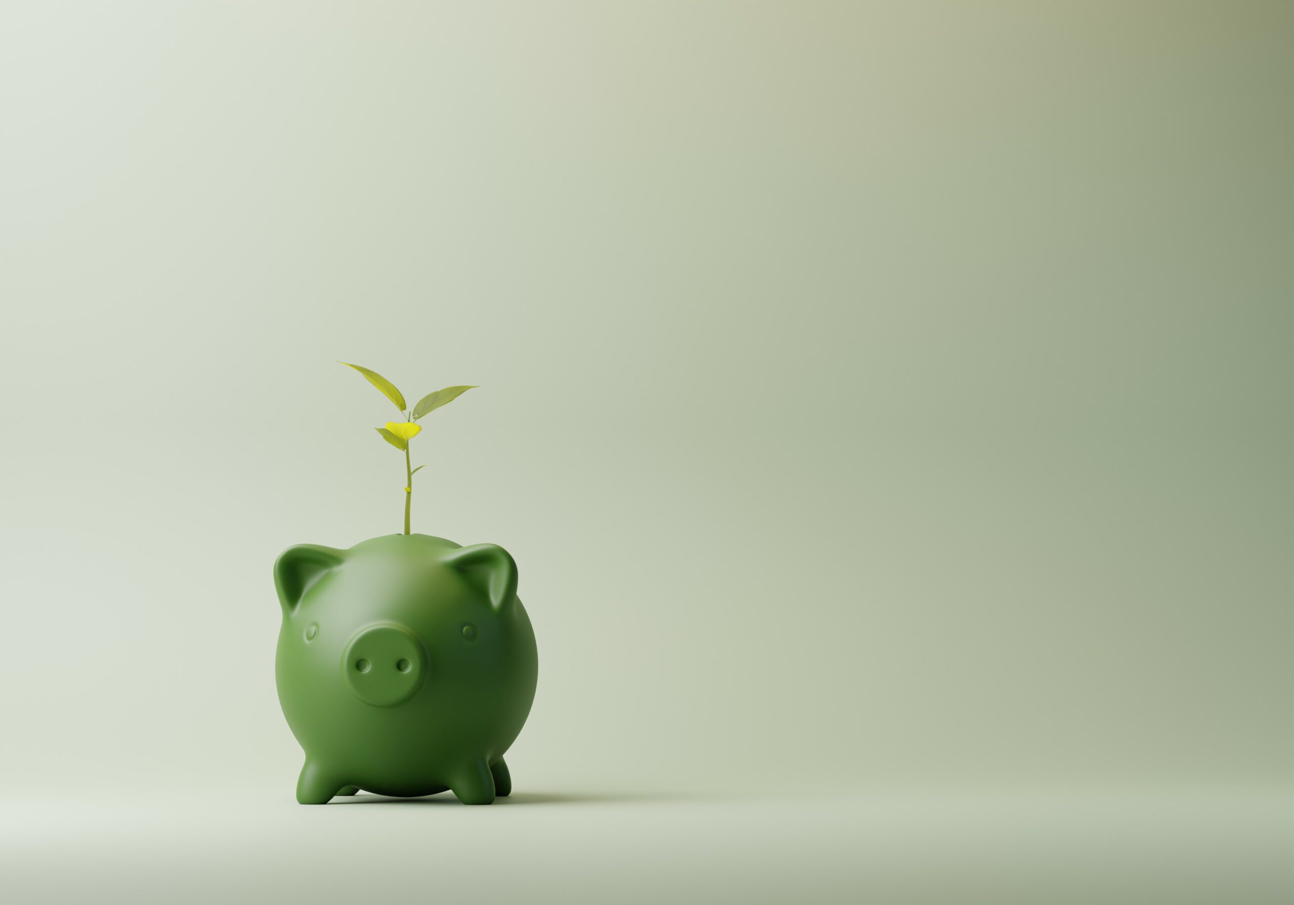 Featured image for “Is a cash management platform worth it? ”